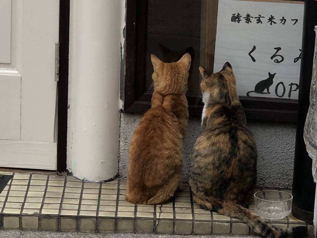 尾道の猫2/CatsinOnomichi2