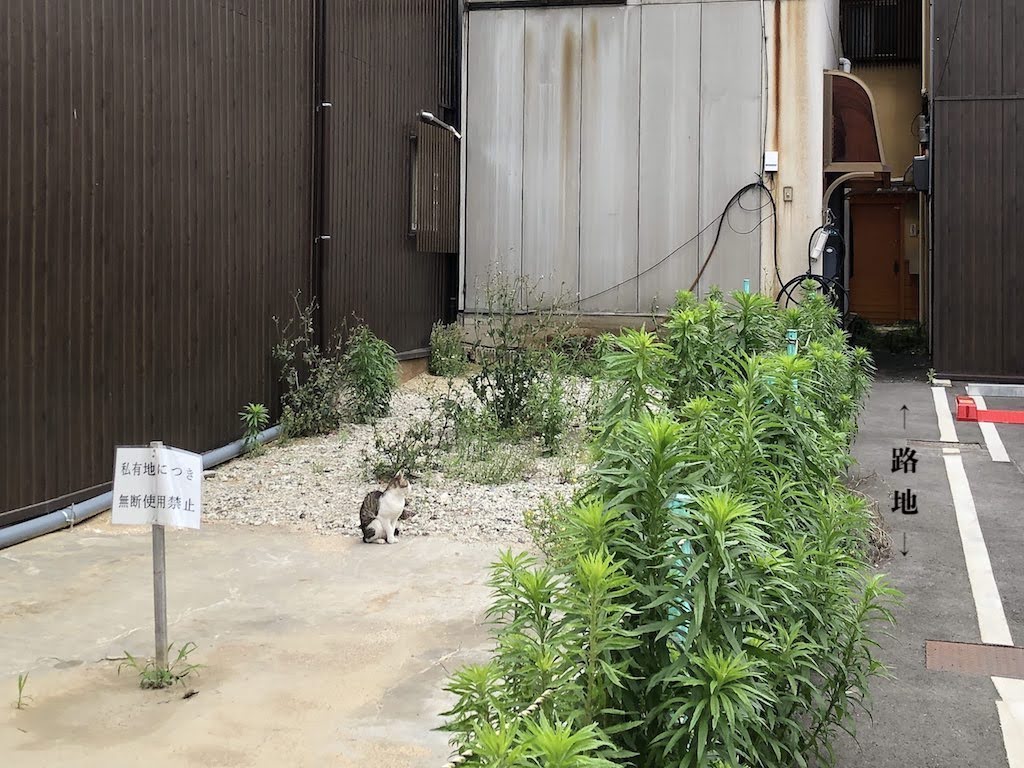 尾道の猫2/CatsinOnomichi2
