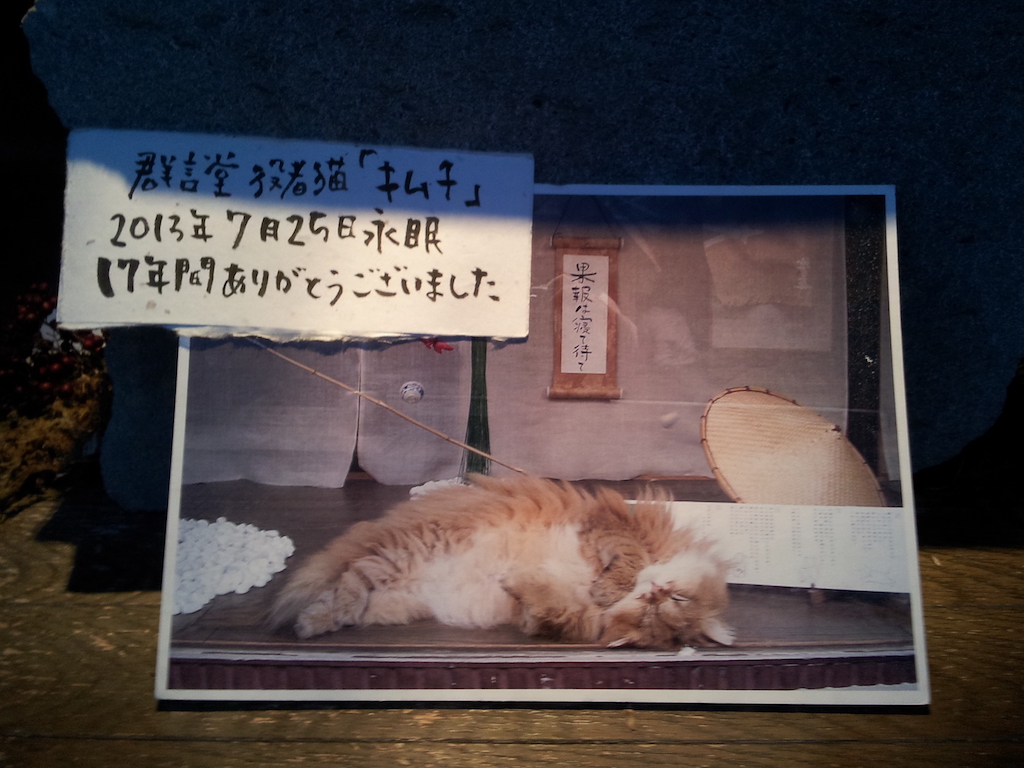 日本の猫3/JapaneseCats3